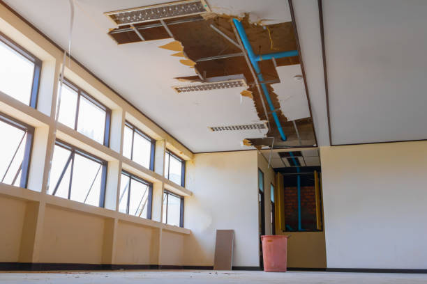 Best Commercial water damage restoration  in Whitinsville, MA