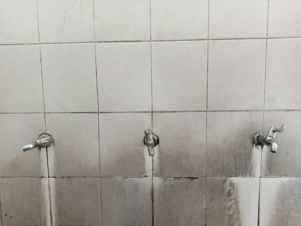 Best Mold removal after water damage  in Whitinsville, MA